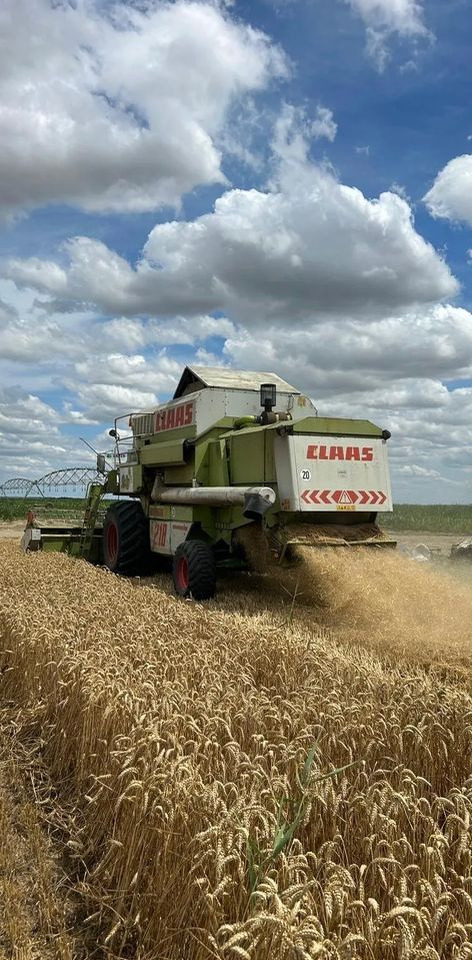 Claas MEGA 218 - Θεριζοαλωνιστική μηχανή: φωτογραφία 5 Claas MEGA 218 - Θεριζοαλωνιστική μηχανή: φωτογραφία 5