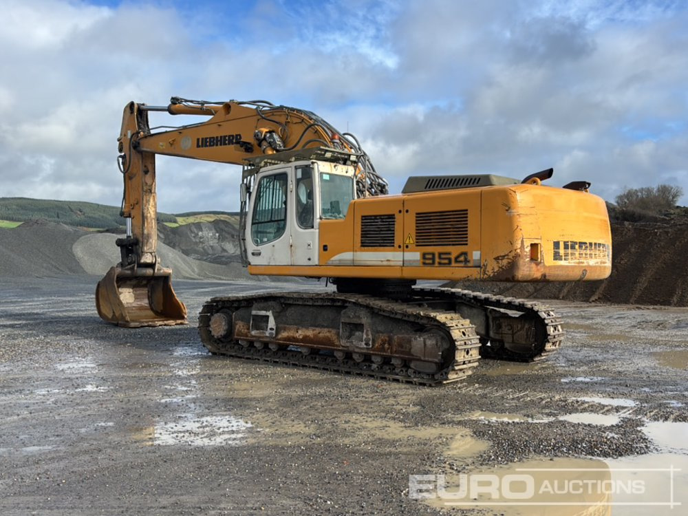 2012 Liebherr R954C HD LITRONIC - Ερπυστριοφόρος εκσκαφέας: φωτογραφία 3 2012 Liebherr R954C HD LITRONIC - Ερπυστριοφόρος εκσκαφέας: φωτογραφία 3