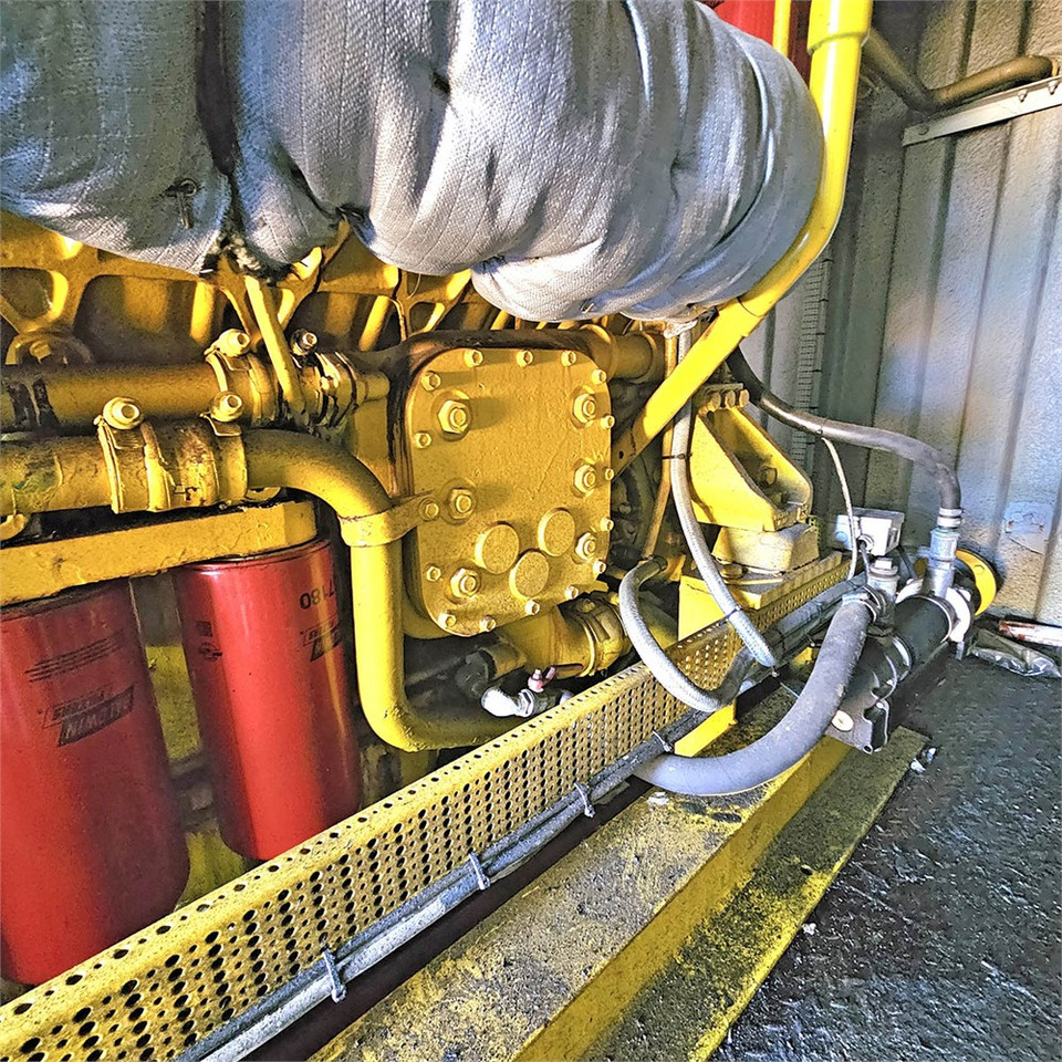 Βιομηχανική γεννήτρια ABC Cummins diesel generator: φωτογραφία 19