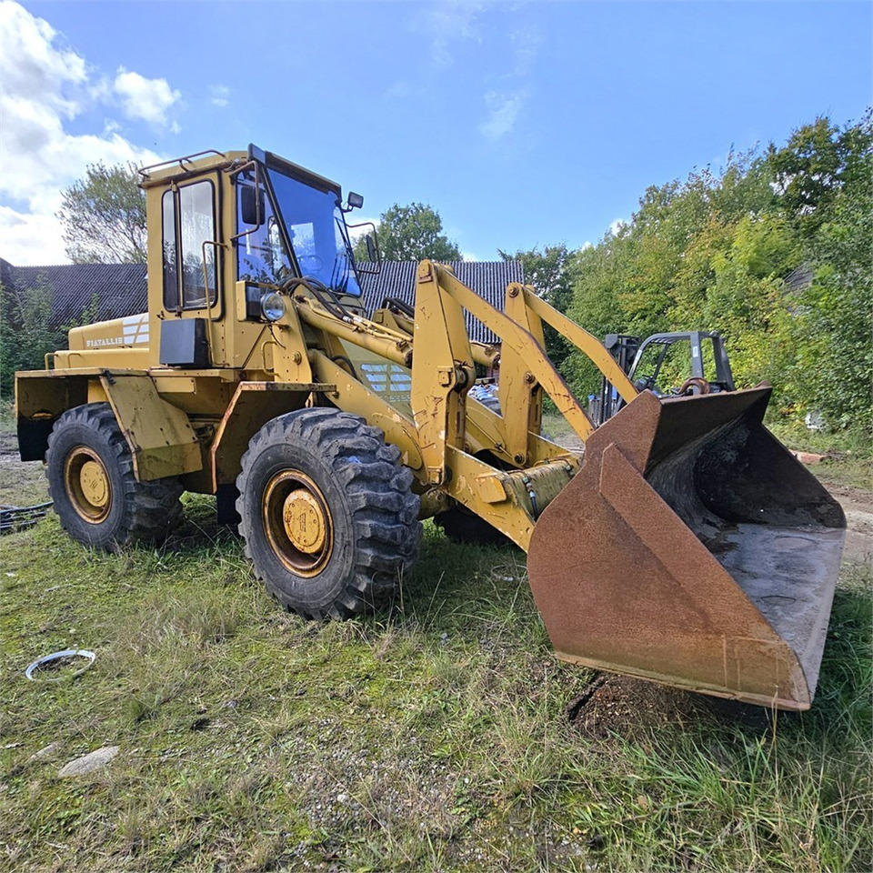 Fiat-Allis FR10 - Ελαστιχοφόρος φορτωτής: φωτογραφία 2 Fiat-Allis FR10 - Ελαστιχοφόρος φορτωτής: φωτογραφία 2