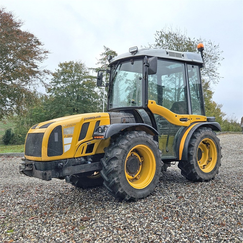 Pasquali 7.95 Orion - Δημοτικό τρακτέρ: φωτογραφία 1 Pasquali 7.95 Orion - Δημοτικό τρακτέρ: φωτογραφία 1