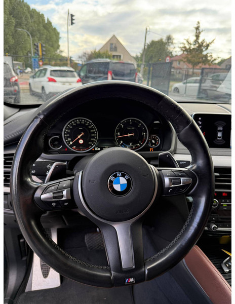 SUV BMW X6 Xdrive 30D: φωτογραφία 17 SUV BMW X6 Xdrive 30D: φωτογραφία 17