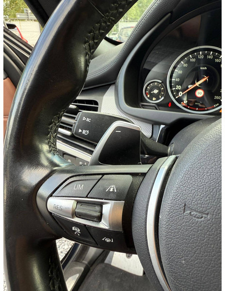 SUV BMW X6 Xdrive 30D: φωτογραφία 18 SUV BMW X6 Xdrive 30D: φωτογραφία 18