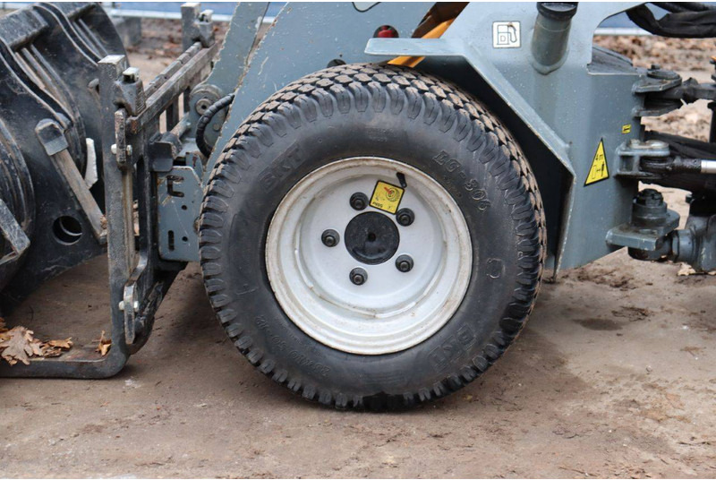 Ελαστιχοφόρος φορτωτής Giant D254SW: φωτογραφία 17