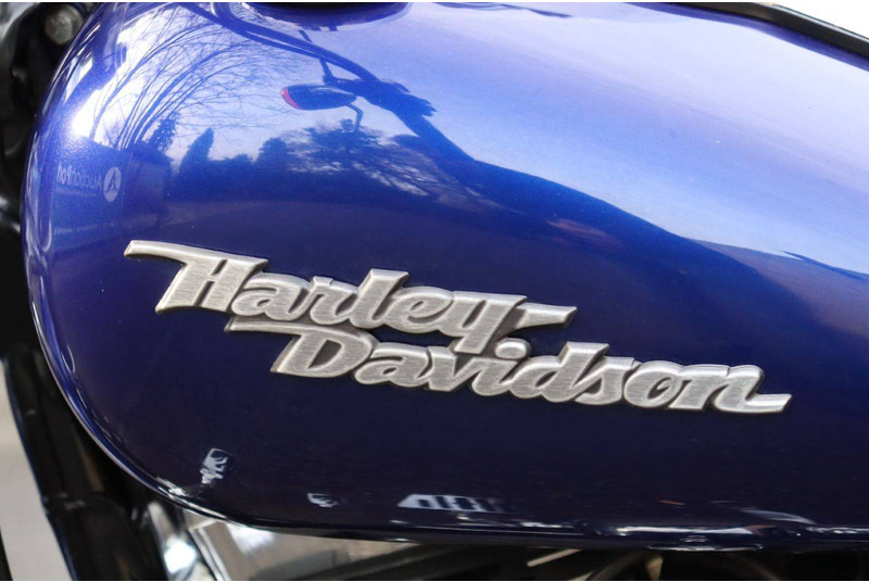 Μοτοσικλέτα Harley-Davidson Dyna Street Bob: φωτογραφία 18