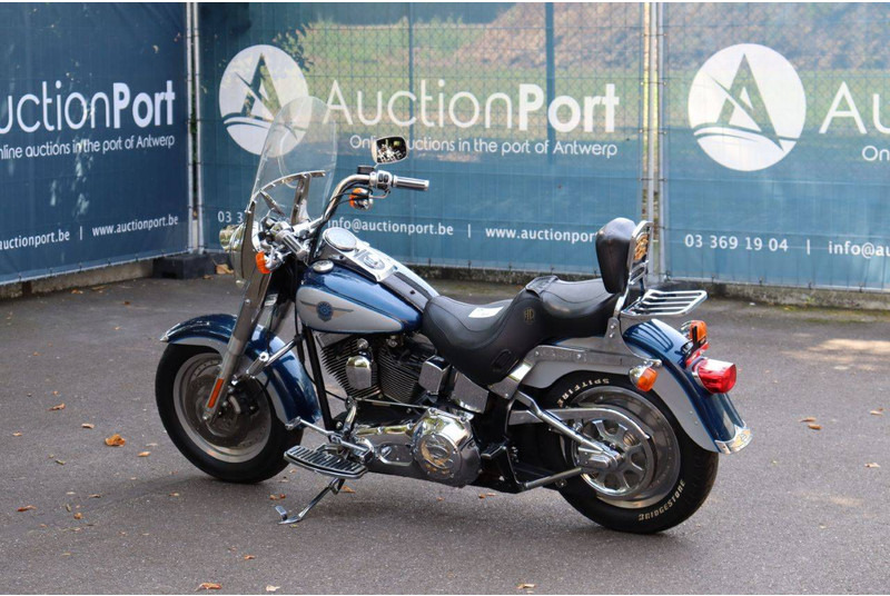 Harley-Davidson Fat Boy - Μοτοσικλέτα: φωτογραφία 3 Harley-Davidson Fat Boy - Μοτοσικλέτα: φωτογραφία 3