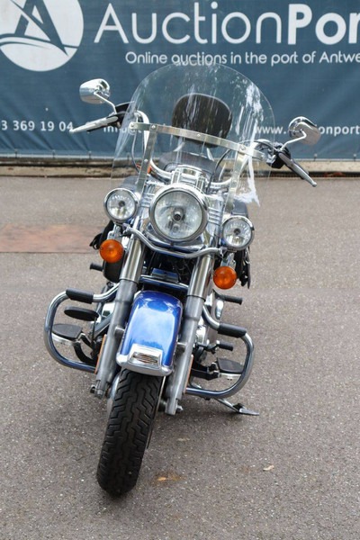 Μοτοσικλέτα Harley-Davidson Heritage Softail Classic: φωτογραφία 8