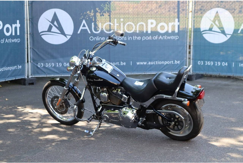 Harley-Davidson Softail Custom - Μοτοσικλέτα: φωτογραφία 3 Harley-Davidson Softail Custom - Μοτοσικλέτα: φωτογραφία 3