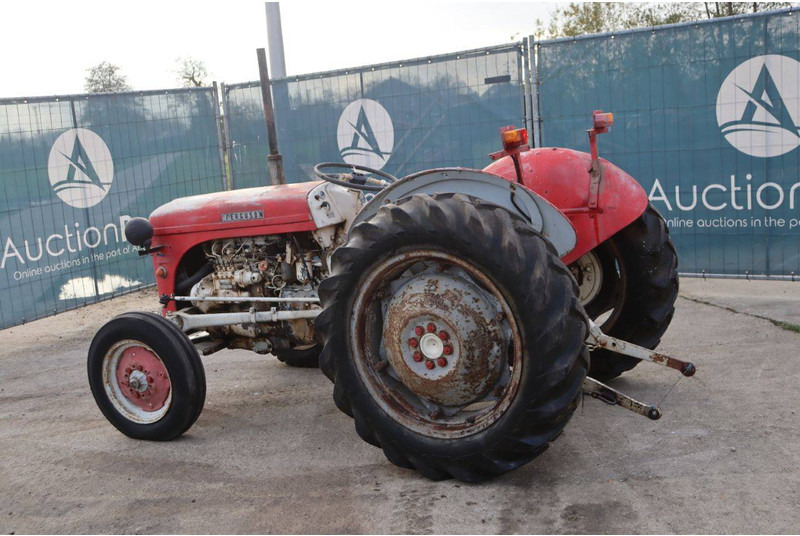 Massey Ferguson Ferguson Vintage Tractor - Τρακτέρ: φωτογραφία 3 Massey Ferguson Ferguson Vintage Tractor - Τρακτέρ: φωτογραφία 3