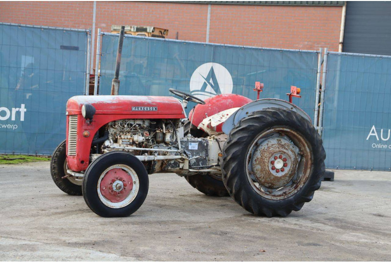 Massey Ferguson Ferguson Vintage Tractor - Τρακτέρ: φωτογραφία 1 Massey Ferguson Ferguson Vintage Tractor - Τρακτέρ: φωτογραφία 1