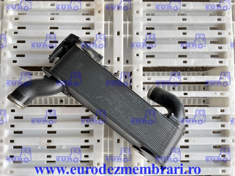 RADIATOR ULEI INTARDER TRAXON IVECO S-WAY 0501221840 - Ψυγείο λαδιού για Φορτηγό: φωτογραφία 1 RADIATOR ULEI INTARDER TRAXON IVECO S-WAY 0501221840 - Ψυγείο λαδιού για Φορτηγό: φωτογραφία 1