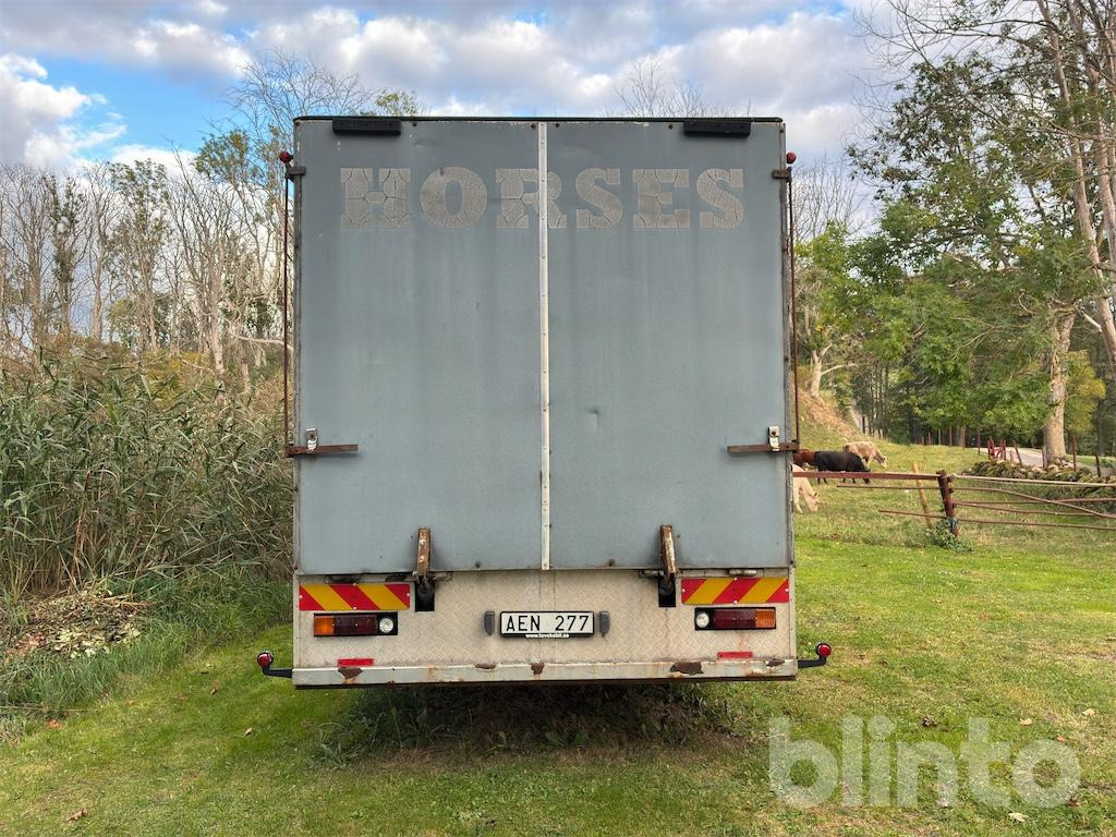 VOLVO FL614 - Φορτηγό μεταφοράς αλόγων: φωτογραφία 4 VOLVO FL614 - Φορτηγό μεταφοράς αλόγων: φωτογραφία 4