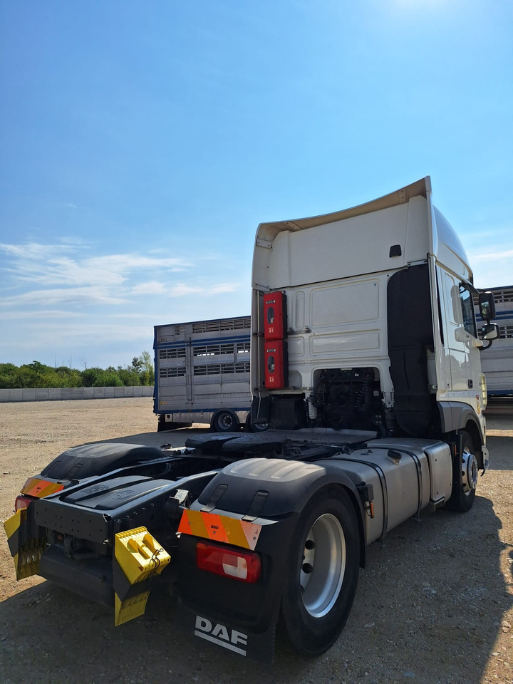 DAF XF 480 - Τράκτορας: φωτογραφία 5 DAF XF 480 - Τράκτορας: φωτογραφία 5